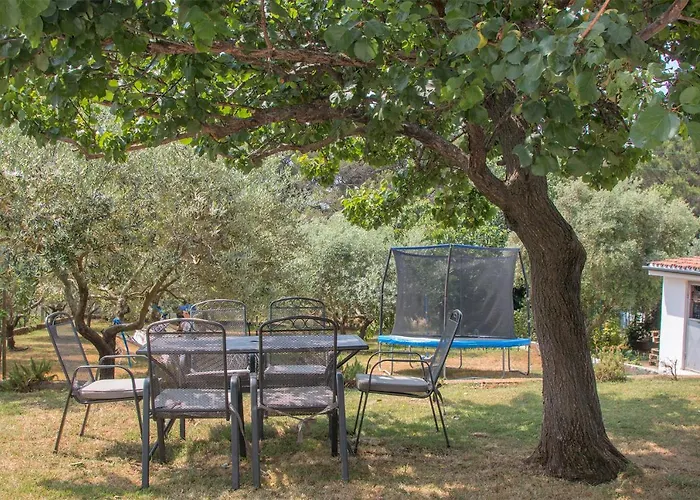 Apartman Olea
