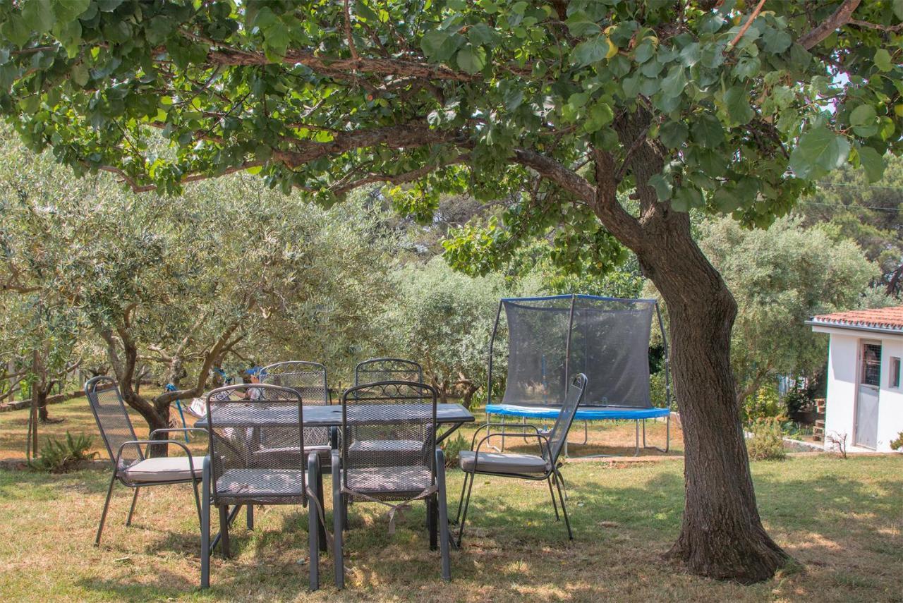 Apartament Olea *